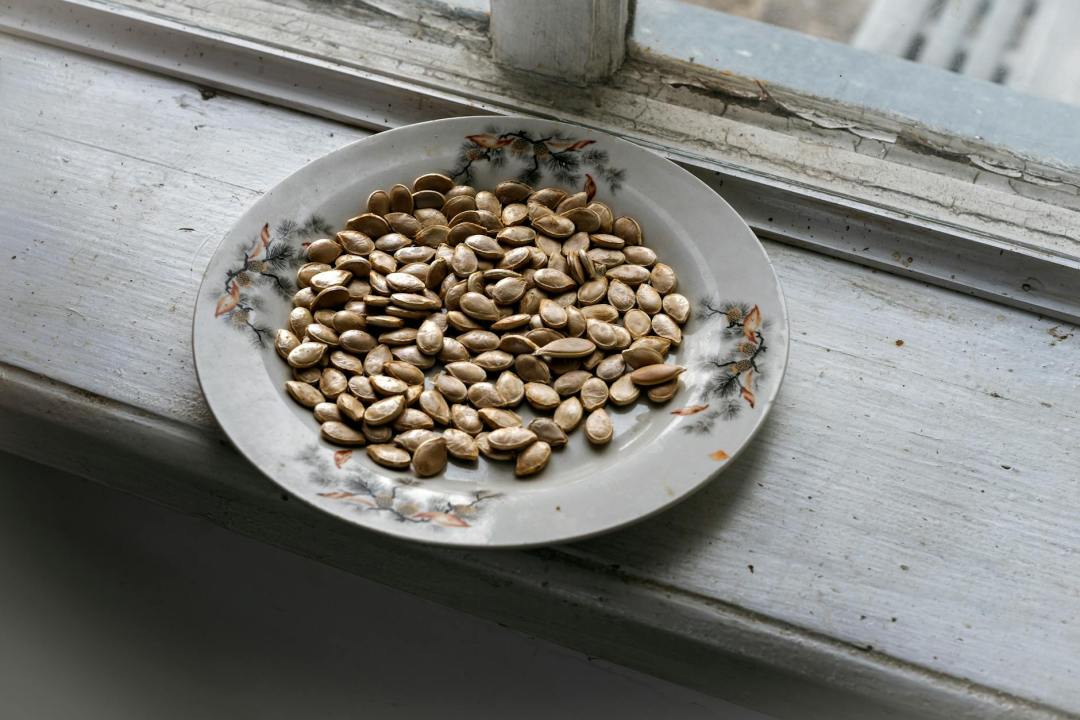 a plate of pumpkin seeds on a wooden window sill